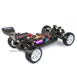 BUGGY SPIRIT EBL (BRUSLEES) 1/10 VRX RACING RH1017 R0213R