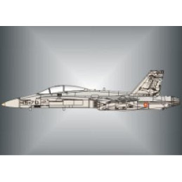 CALCAS EF-18 HORNET ALA Nº15 (75.000 horas) 1/72 - Series Españolas SE1172