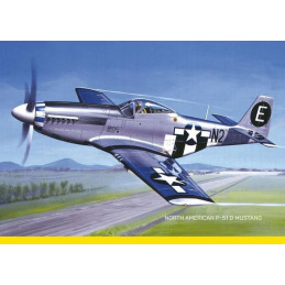 NORTH AMERICAN P-51 D MUSTANG