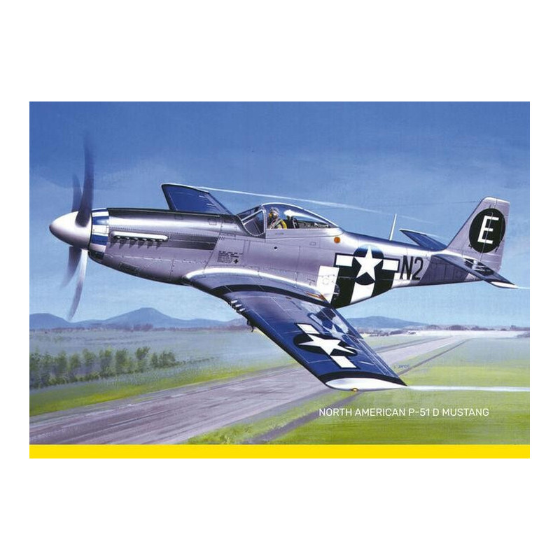 NORTH AMERICAN P-51 D MUSTANG