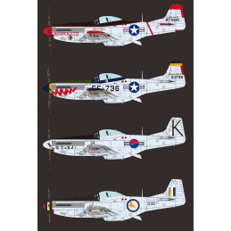 NORH AMERICAN F-51 D MUSTANG (KOREA) -Escala 1/48- Bronco Models FB4012