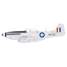 NORTH AMERICAN F-51 D MUSTANG -Escala 1/48 - Airfix A05136