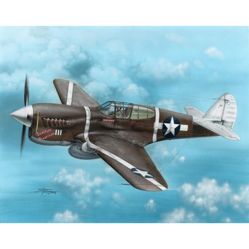 CURTISS P-40 F WARHAWK -1/72- Special Hobby SH72149