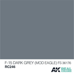 PINTURA REAL COLORS F-15 DARK GREY FS36176 GREY  (10 ml) - AK Interactive RC246