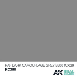 PINTURA REAL COLORS RAF DARK GREY BS381C/629 (10 ml) - AK RC300