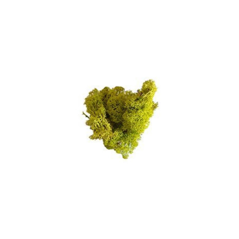 MUSGO NATURAL VERDE PRIMAVERA (50gr) - KERANOVA 602050