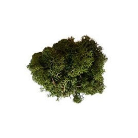 MUSGO NATURAL VERDE OSCURO (50gr) - KERANOVA 601050