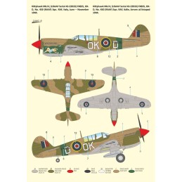 CURTISS KITTYHAWK MK-IV "Over the Mediterranean and the Pacific" -Escala 1/72- Special Hobby SH72484