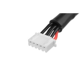 CABLE ADAPTADOR BALANCE 4S-XH SOCKET 2X 2S-XH REUTEC GF-1420-003