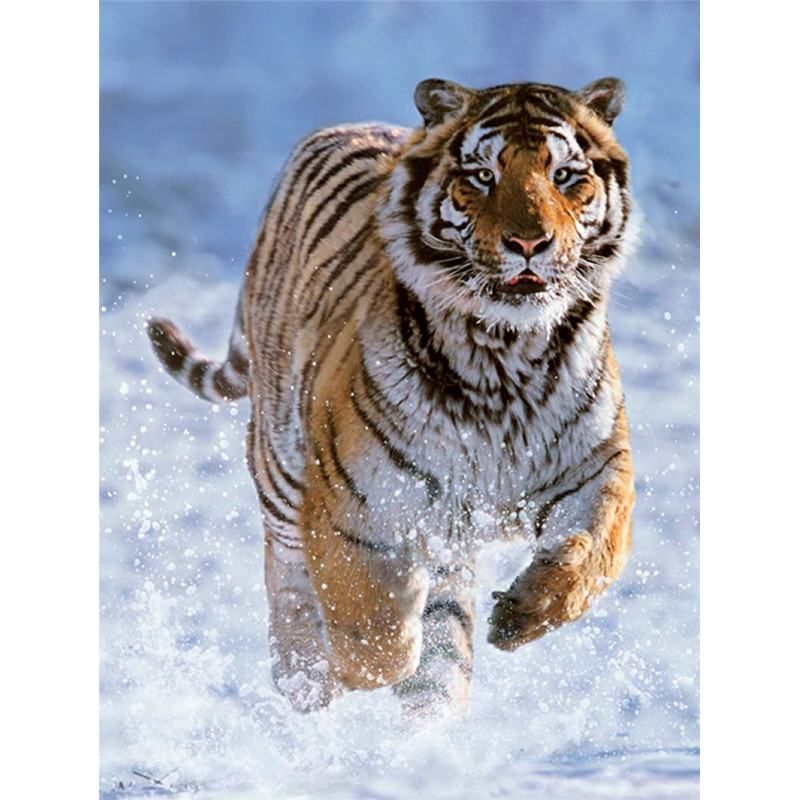 PUZZLE TIGRE EN LA NIEVE 500 PIEZAS (360 x 490 mm)