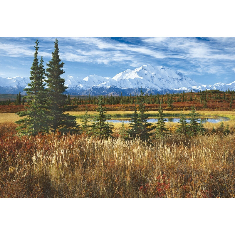 PUZZLE 1500 PZAS PARQUE NACIONAL DENALI  (850 X 600 MM)