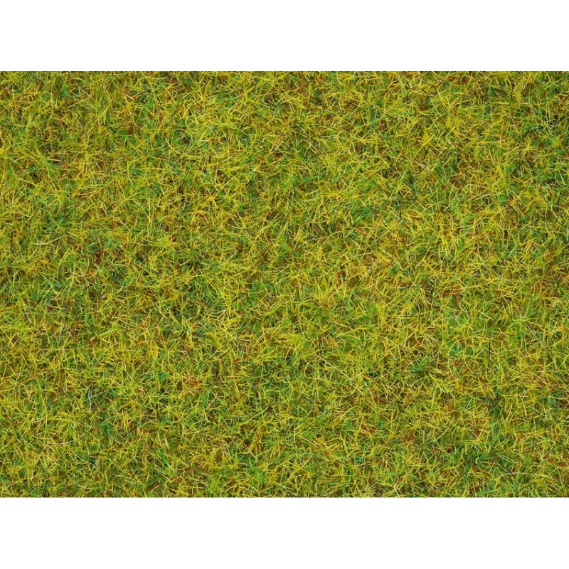 CESPED VERDE OTOÑO (50 gr) - Keranova 609050