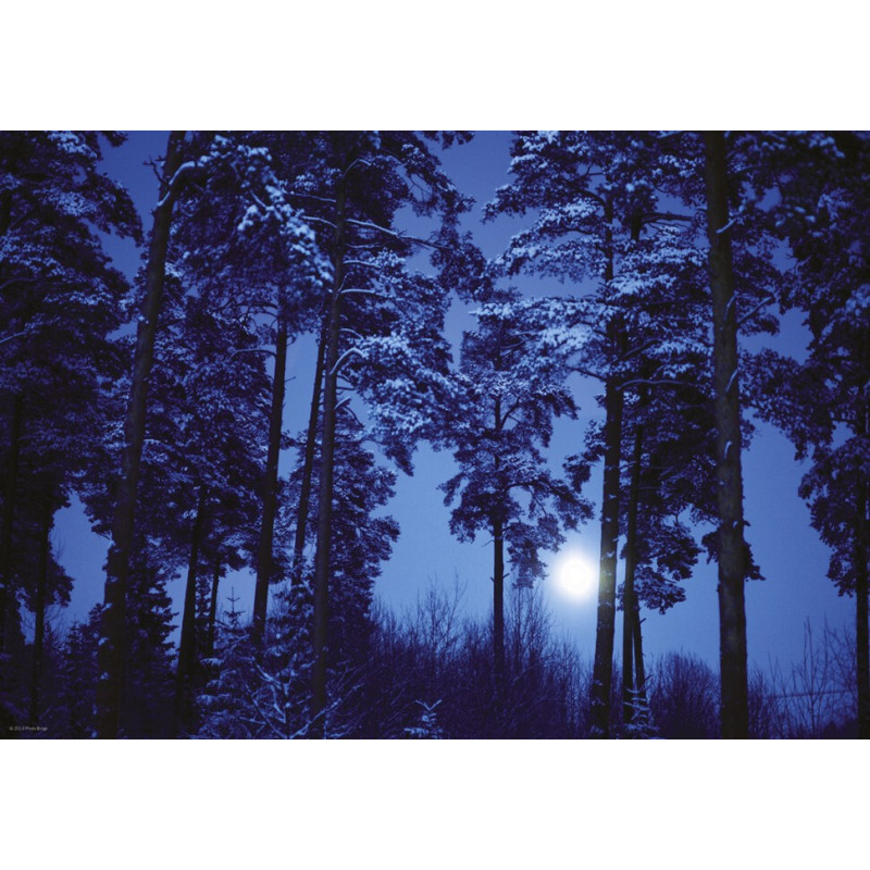 PUZZLE 500 PZS FULL MOON - HEYE 29625