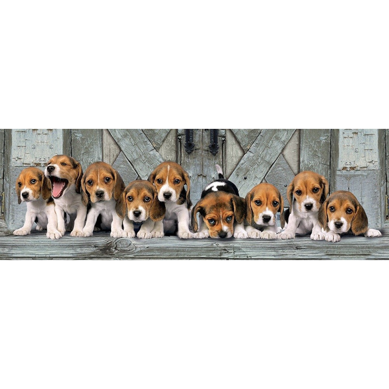 PUZZLE 1000 PZS PANORAMA BEAGLES - CLEMENTONI 39435