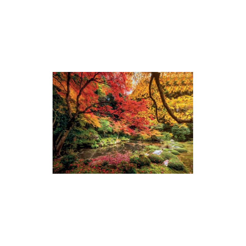 PUZZLE 1500 PZS AUTUMN PARK - CLEMENTONI 31820