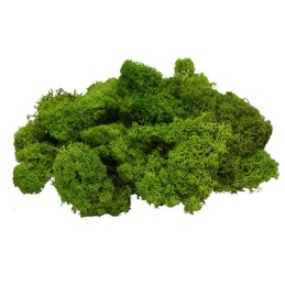 MUSGO NAT. VERDE PRIMAVERA 25g