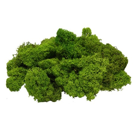 MUSGO NAT. VERDE PRIMAVERA 25g