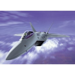 LOCKHEED/ BOEING F-22 RAPTOR -Escala 1/72- Italeri 1207