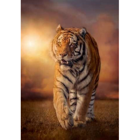 PUZZLE 1500 pzs TIGER - Clementoni 31806