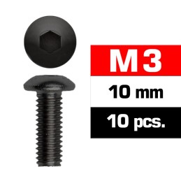 TORNILLO 3X10mm CABEZA BOTON (10 UNIDADES) XTR