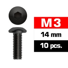 TORNILLO 3X14mm CABEZA BOTON (10 UNIDADES) XTR