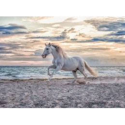 PUZZLE 500 PZAS CABALLO EN LA PLAYA - RAVENSBURGER 12000222