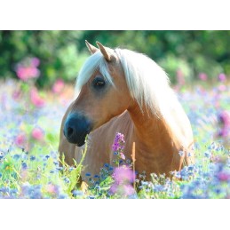 PUZZLE 300 PZS XXL CABALLO ENTRE LAS FLORES - RAVENSBURGER 13294