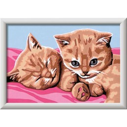 CREART GATITOS - LAMINA PARA COLOREAR  13 X 18 CMS RAVENSBURGER 23562