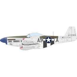 NORTH AMERICAN P-51 D-5 MUSTANG -Escala 1/72- Eduard 7476