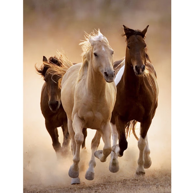 PUZZLE 1000 PZS CABALLOS  (50 X 70 CMS) - CLEMENTONI 39168