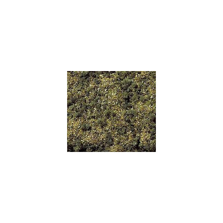 HIERBA TIERRA DE BOSQUE (20 gr)