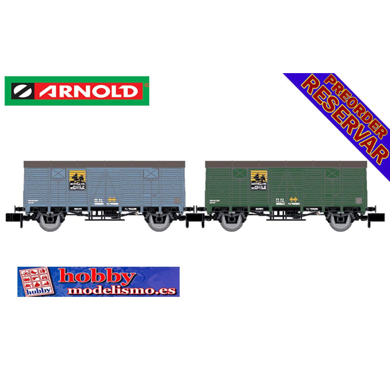 CONJUNTO 2 VAGONES CERRADOS RENFE J2 NITRATO DE CHILE - ESCALA N - EP.III - ARNOLD HN6666