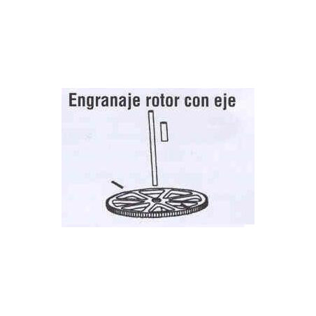 ENGRANAJE ROTOR CON EJE