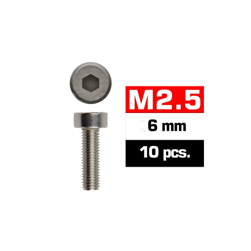 TORNILLO ACERO C/ALLEN (M2,5 x 6 mm) 10 unidades